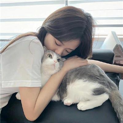 坚如磐石